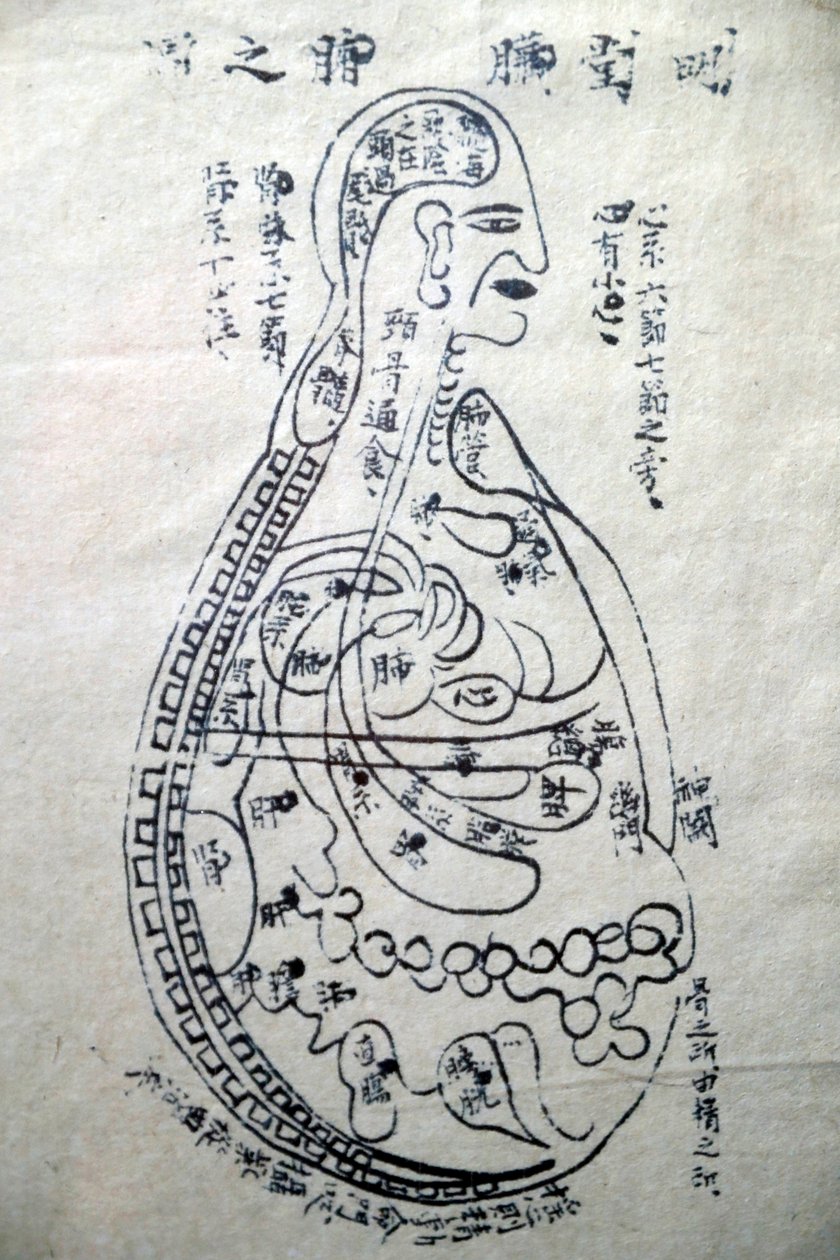 The Channels and Vessels, Book of Acupuncture, Ho Chi Minh City, Vietnam by Unbekannt