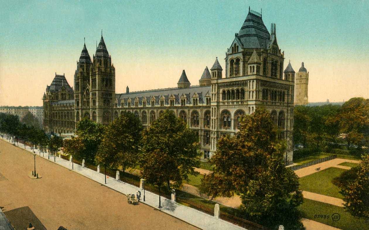 Natural History Museum, London by Unbekannt