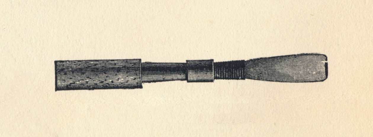 Oboe Reed, 1895 by Unbekannt
