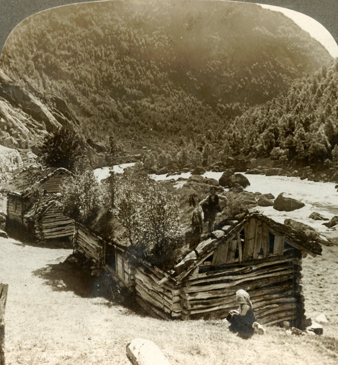 Old Log Houses in Bratslandsdal, with Trees Growing on Sod-covered Roofs, Norway by Unbekannt
