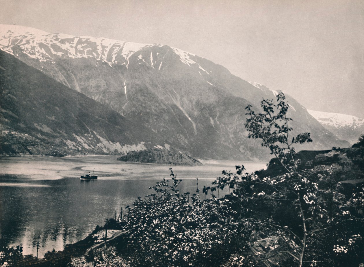 On the Hardanger Fjord by Unbekannt