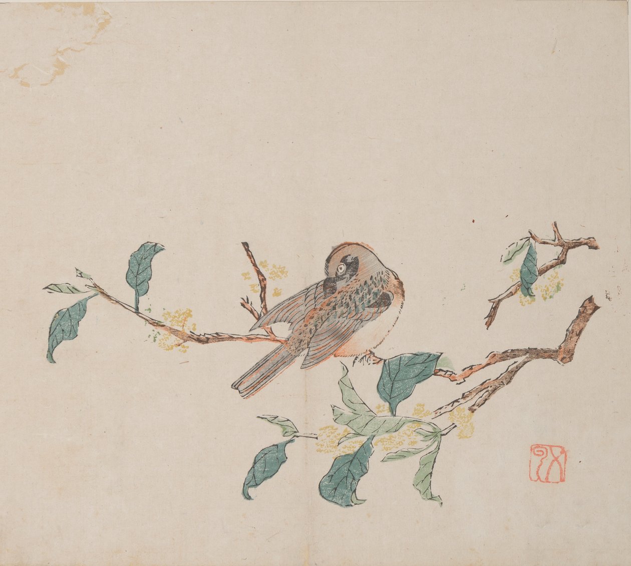Page from Shi Zhu Zhai by Unbekannt