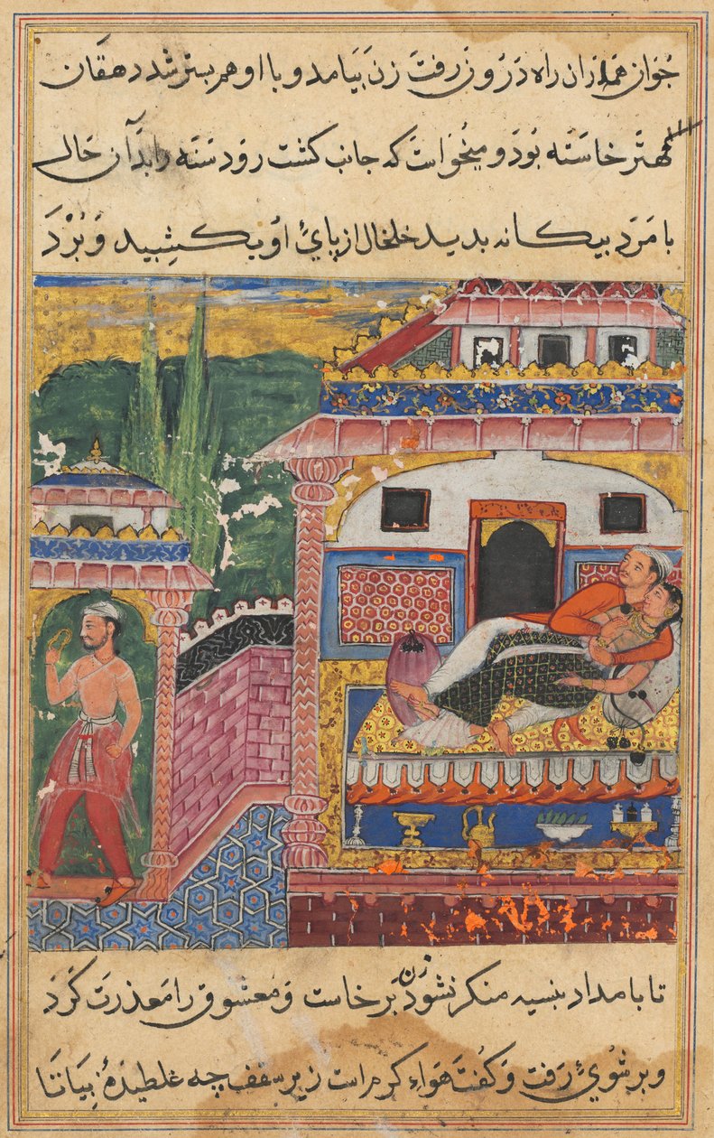 Page from Tales of a Parrot Tuti-nama: Eighth night: The farmer, father of the son by Unbekannt