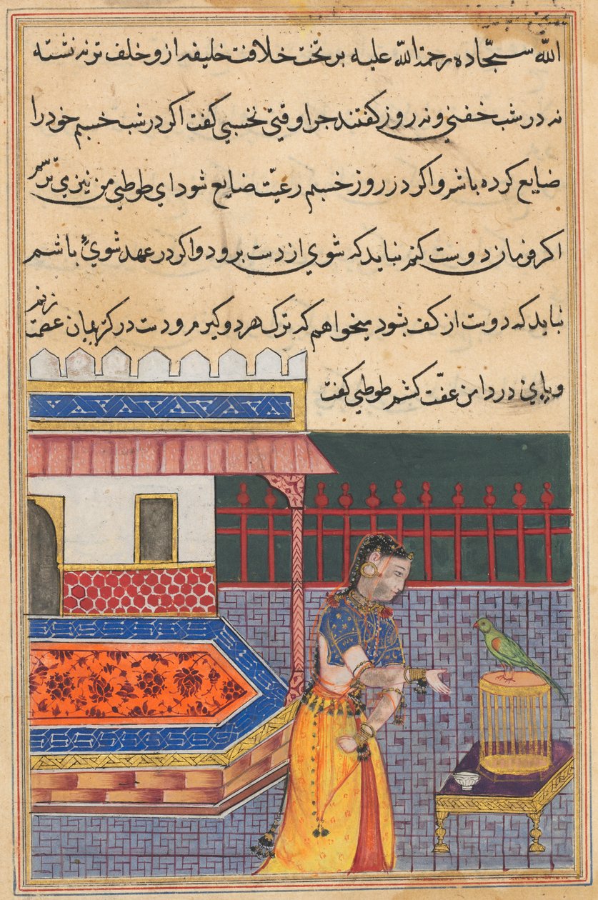 Page from Tales of a Parrot Tuti-nama: Forty-first night: The parrot addresses Khujasta by Unbekannt