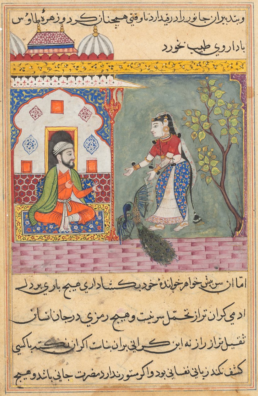 Page from Tales of a Parrot Tuti-nama: Nineteenth night: The Brahman