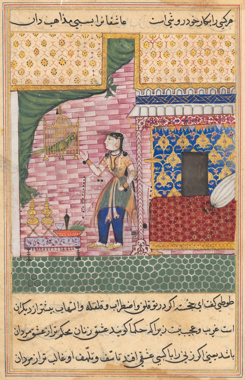 Page from Tales of a Parrot Tuti-nama: Seventeenth night: The parrot..., c. 1560 by Unbekannt