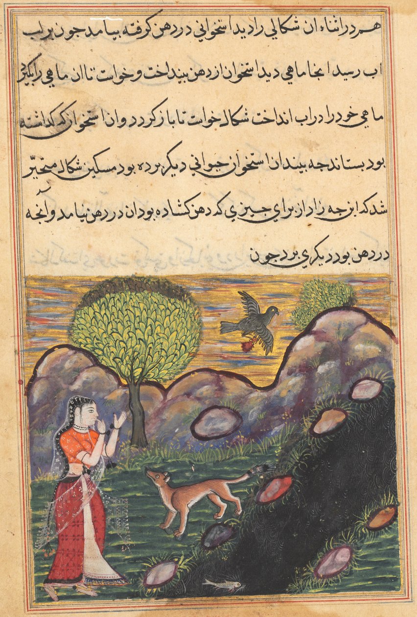 Page from Tales of a Parrot Tuti-nama: Sixteenth night: The daughter-in-law..., c. 1560 by Unbekannt