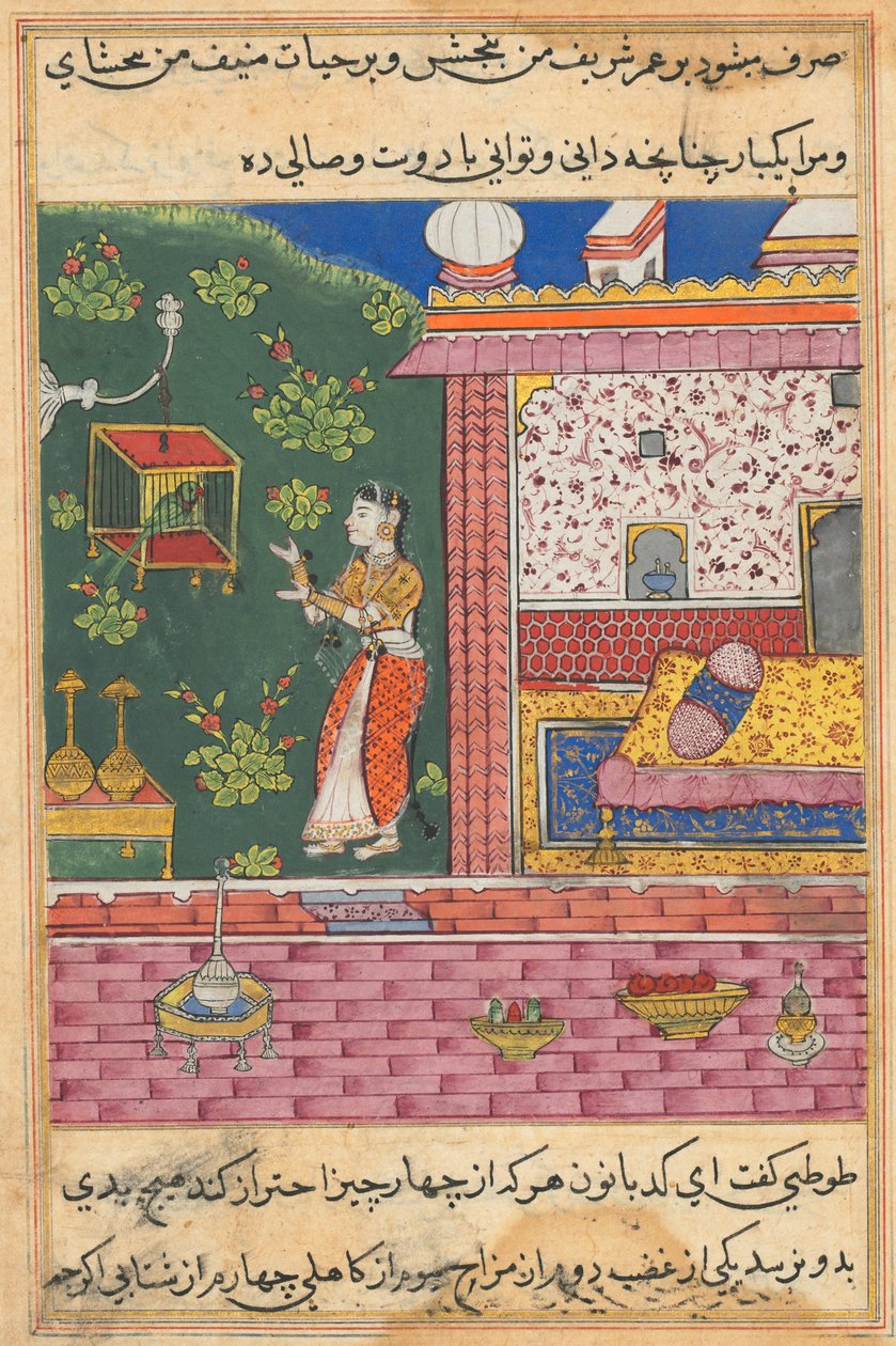 Page from Tales of a Parrot Tuti-nama: Thirtieth Night: The Parrot Addresses Khujasta by Unbekannt