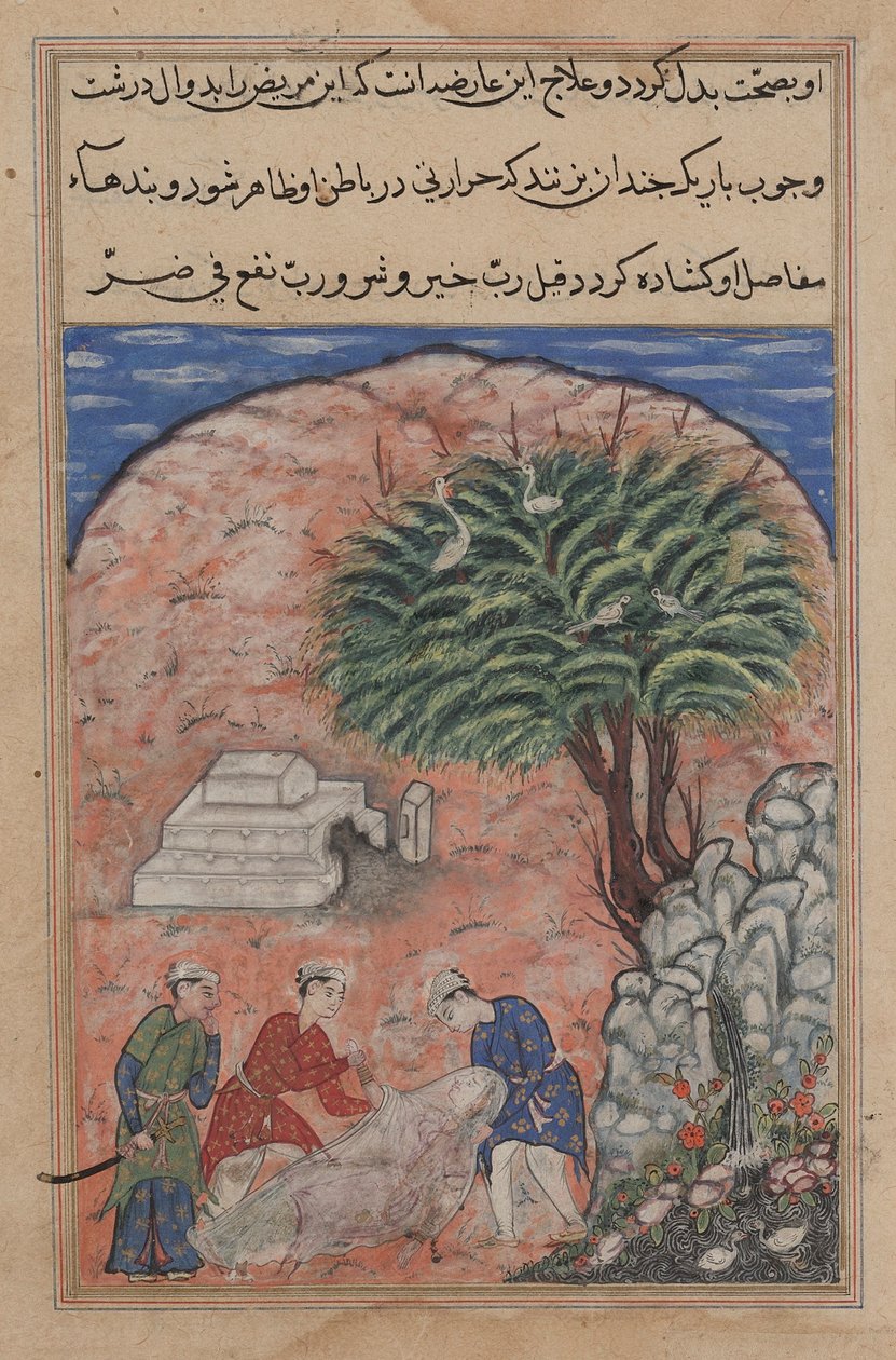 Page from Tales of a Parrot Tuti-nama: Twentieth Night: The Suitors Take..., c. 1560 by Unbekannt