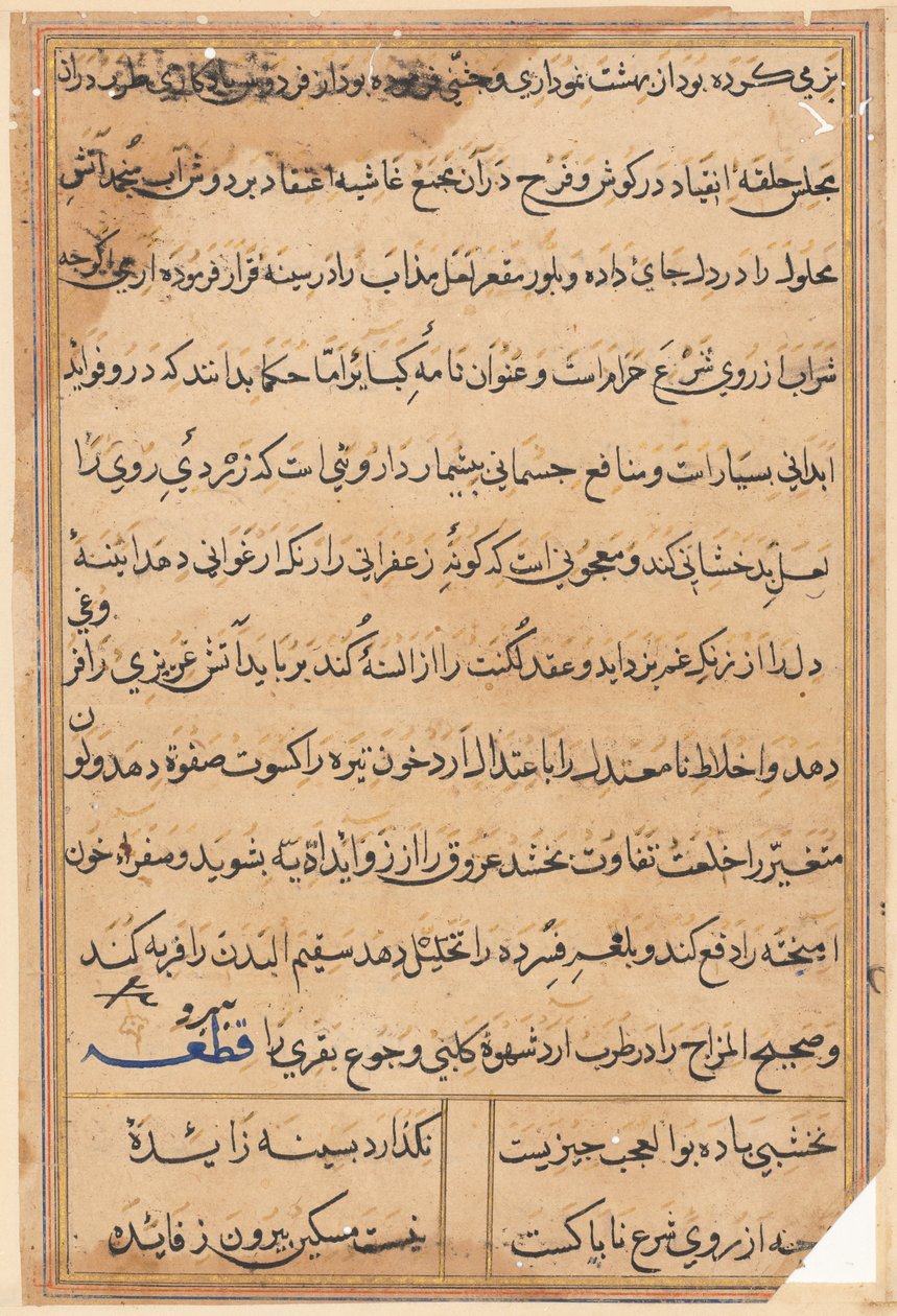 Page from Tales of a Parrot Tuti-nama: text page by Unbekannt