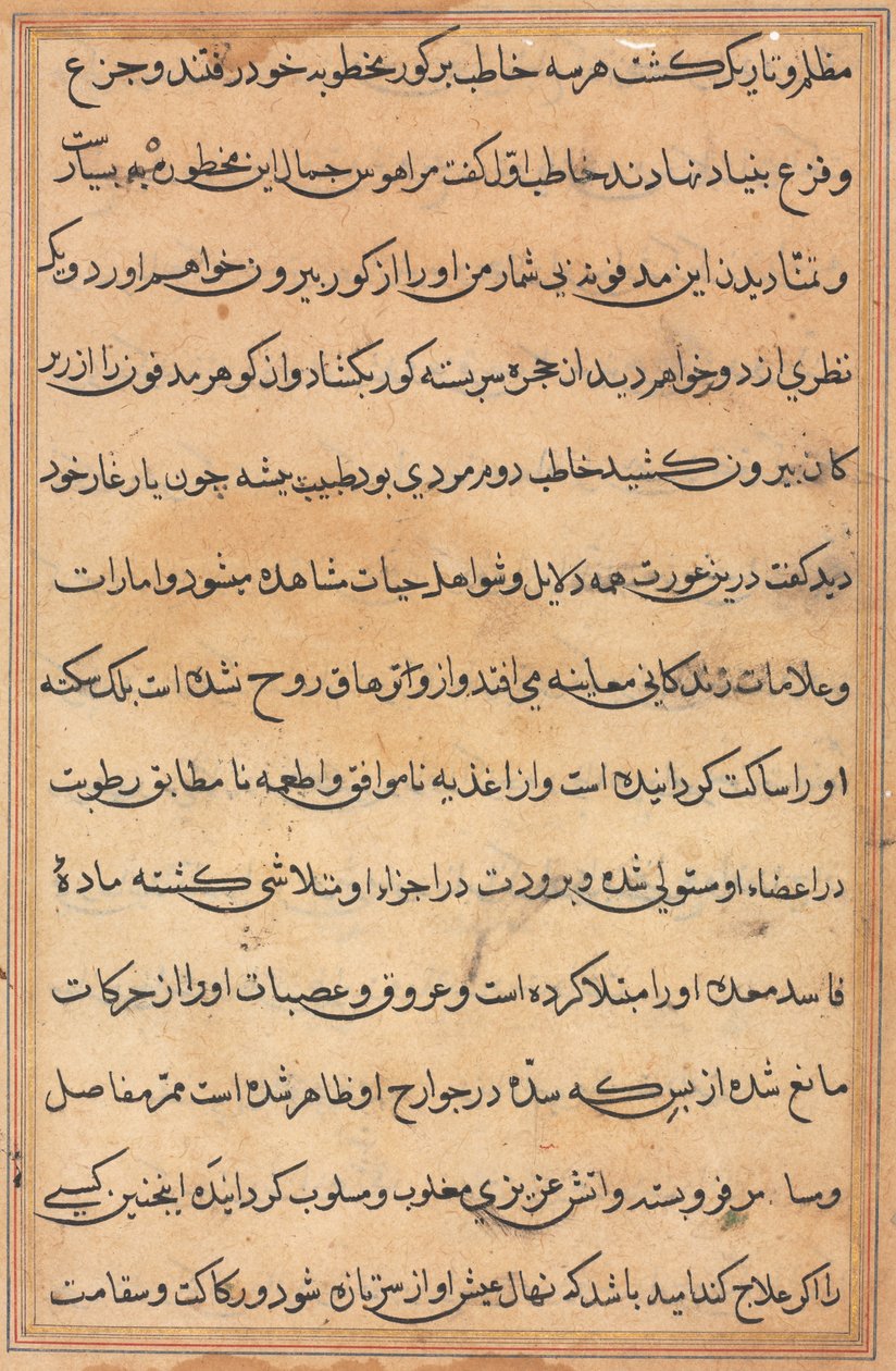 Page from Tales of a Parrot (Tuti-nama): text page, c. 1560 by Unbekannt