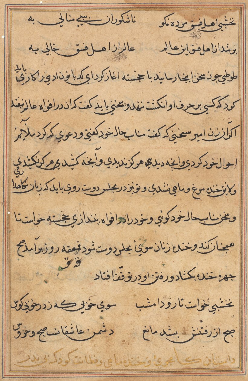Page from Tales of a Parrot Tuti-nama: text page, c. 1560 by Unbekannt