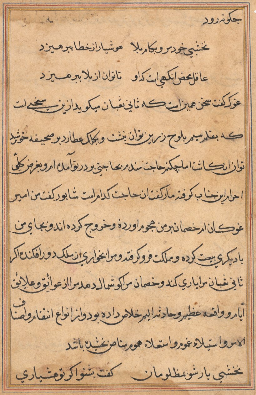 Page from Tales of a Parrot Tuti-nama: text page, c. 1560 by Unbekannt