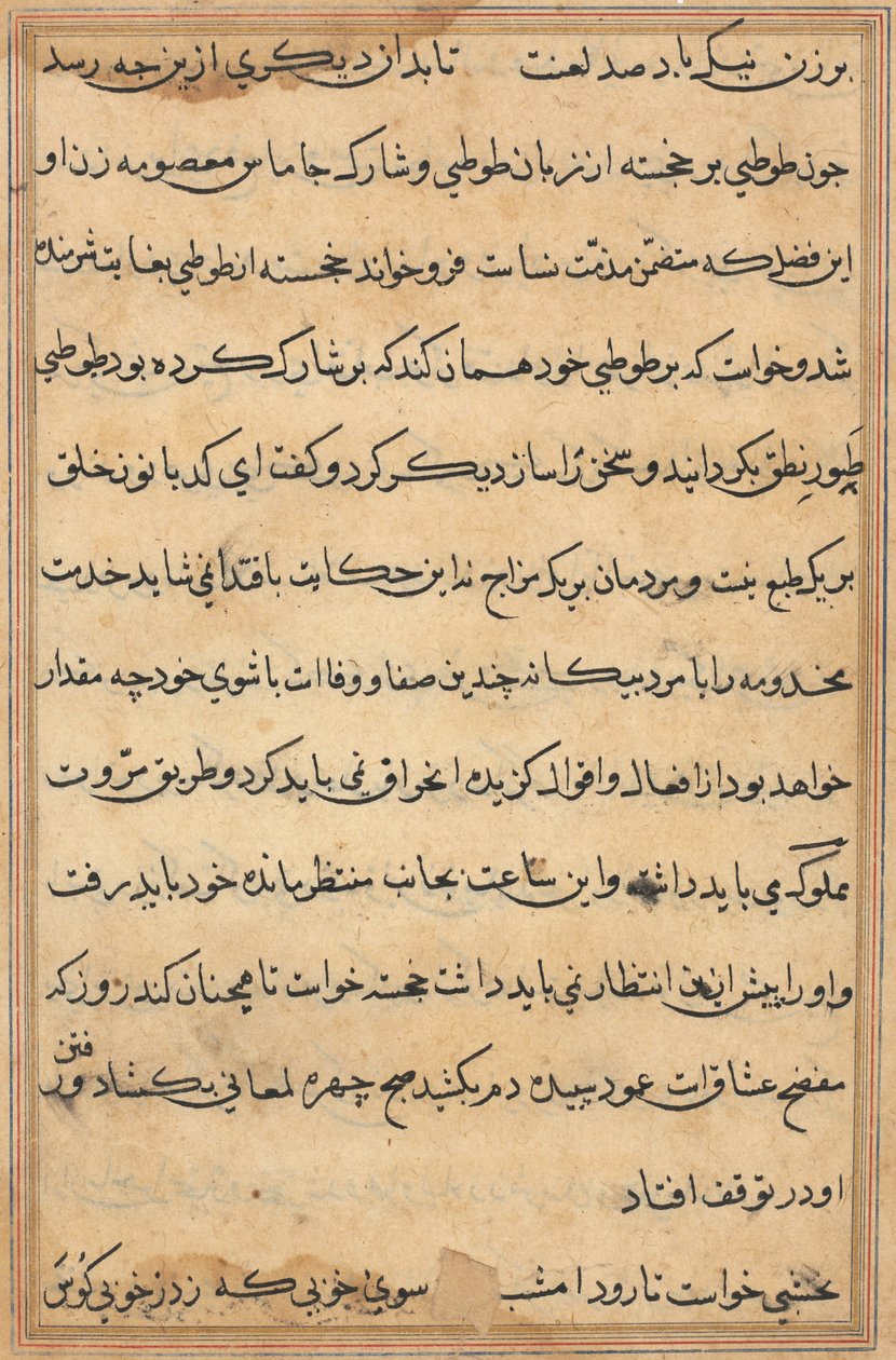 Page from Tales of a Parrot Tuti-nama: Text Page by Unbekannt