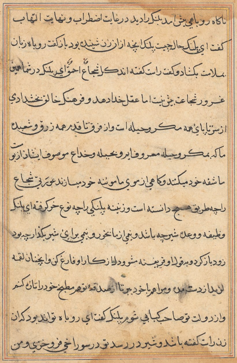 Page from Tales of a Parrot Tuti-nama: text page by Unbekannt