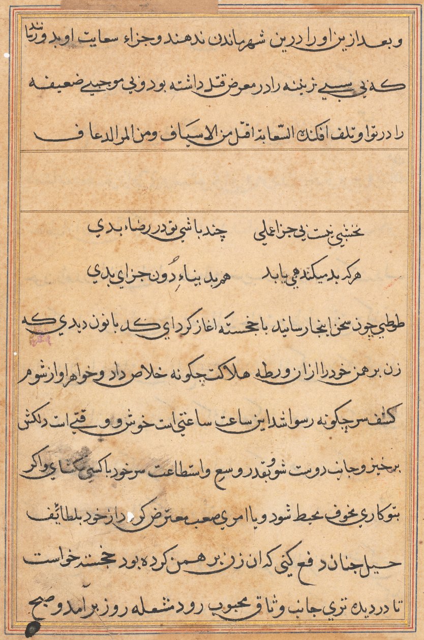 Page from Tales of a Parrot Tuti-nama: text page by Unbekannt