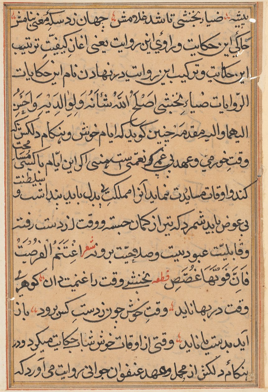 Page from Tales of a Parrot Tuti-nama: Text Page by Unbekannt