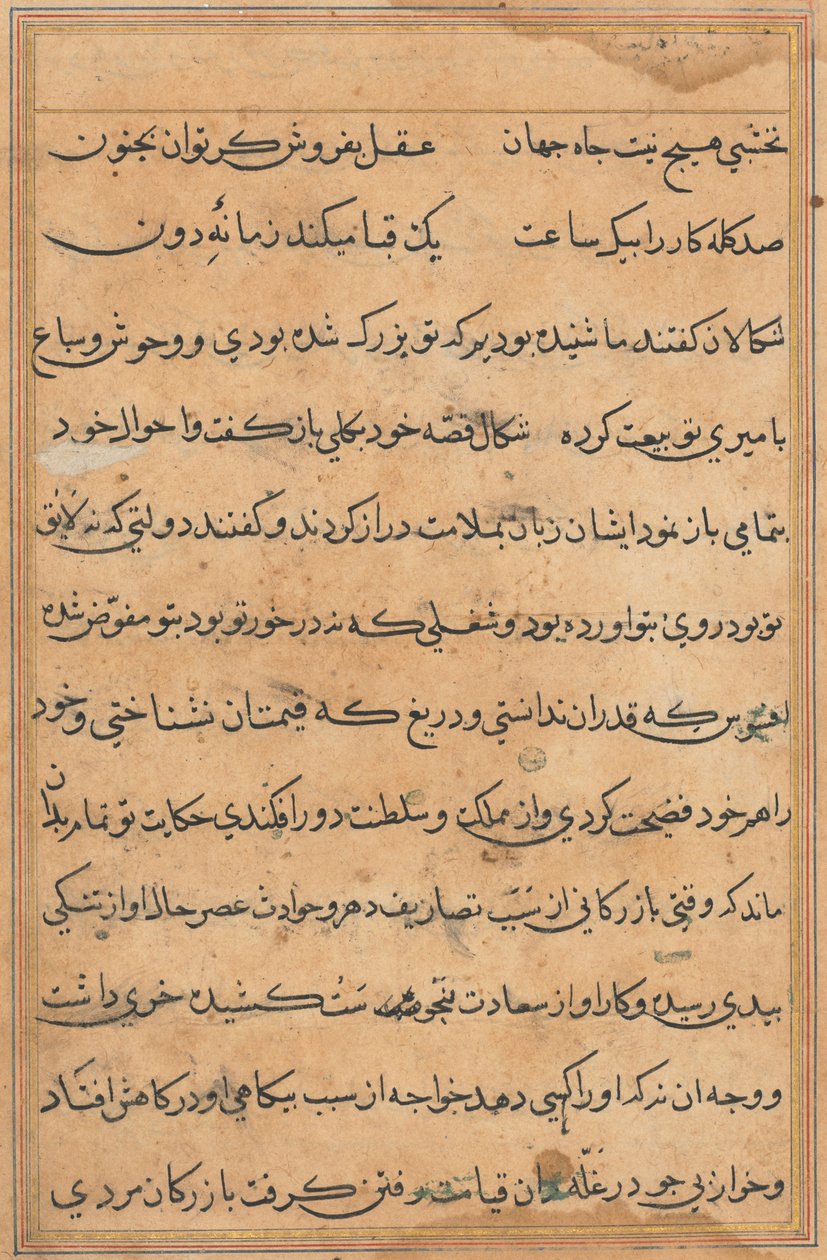 Page from Tales of a Parrot Tuti-nama: text page by Unbekannt