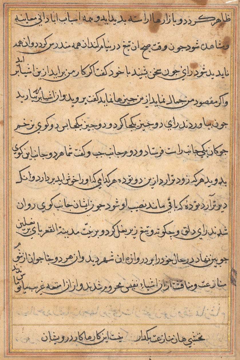 Page from Tales of a Parrot Tuti-nama: text page, c. 1560 by Unbekannt