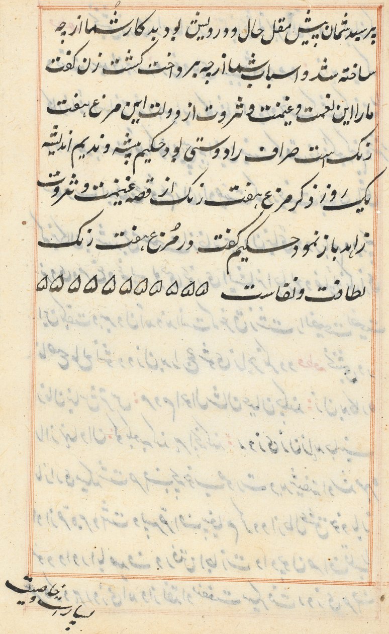 Page from Tales of a Parrot Tuti-nama: text page by Unbekannt