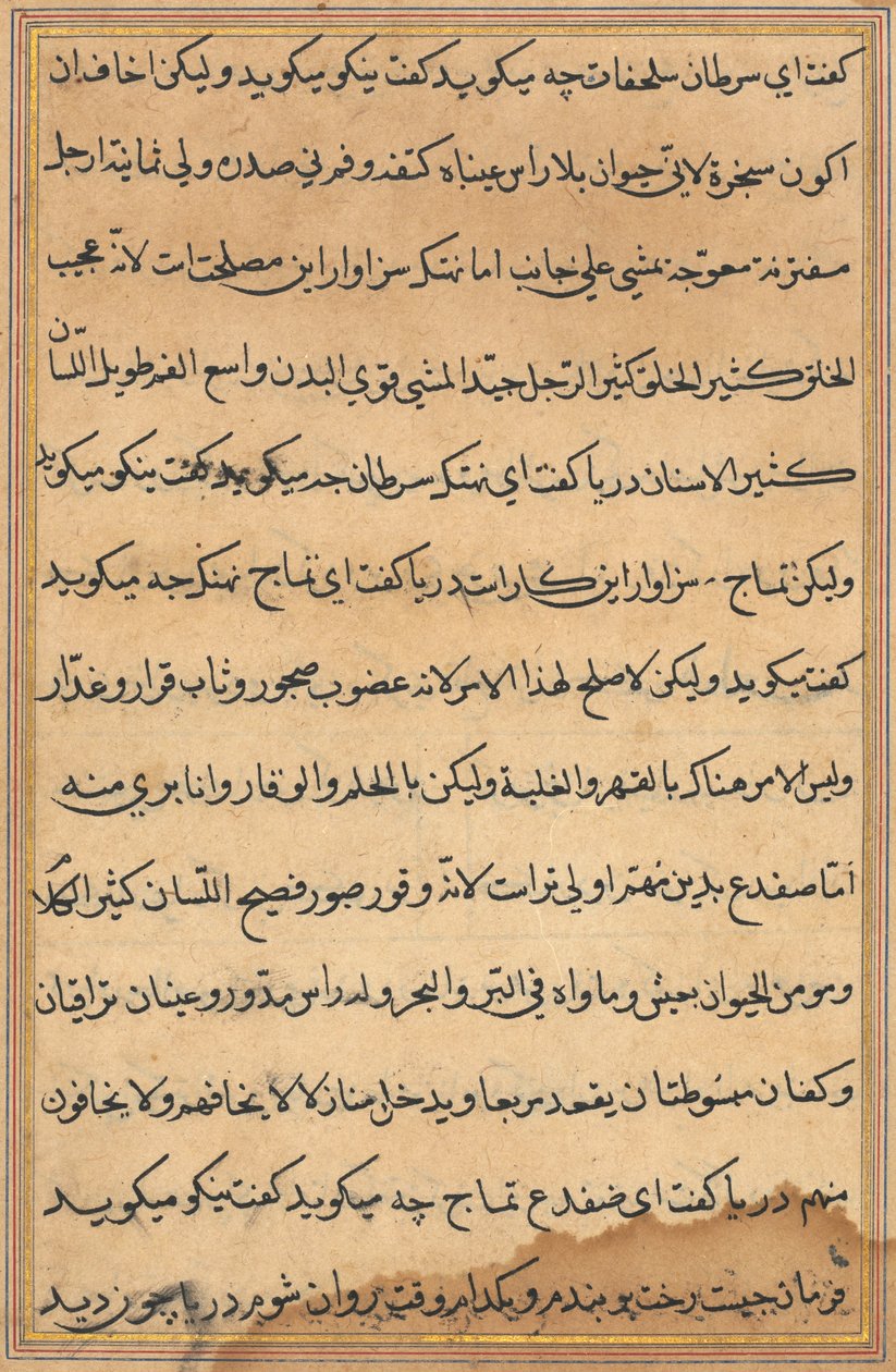 Page from Tales of a Parrot Tuti-nama: text page, c. 1560 by Unbekannt