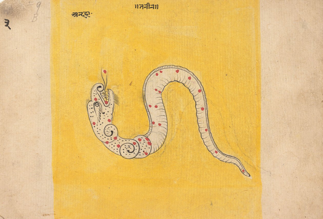 Page from a Dispersed Book of Dreams, mid-late 19th century by Unbekannt