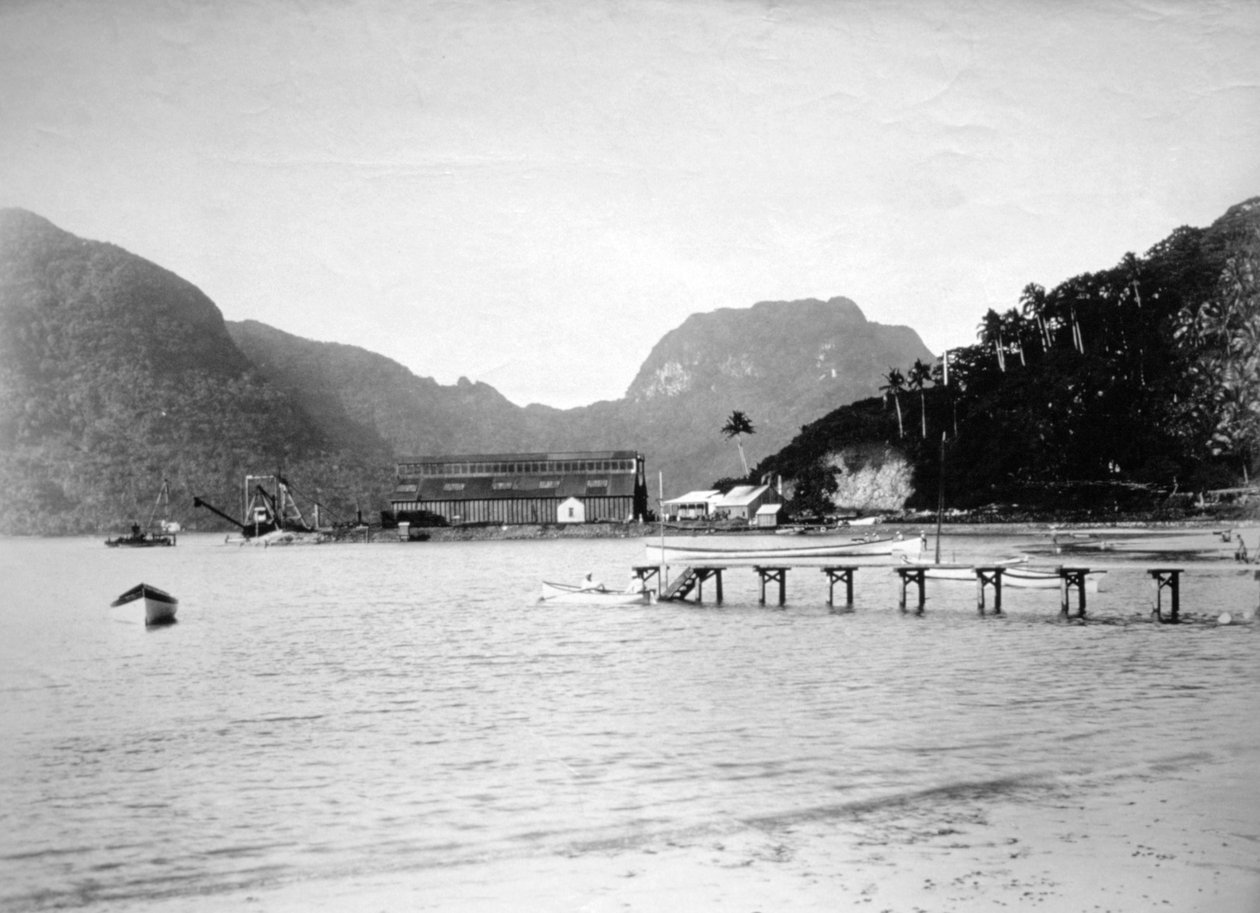 Pago Pago Harbor, in the Island of Tutuila, American Samoa by Unbekannt