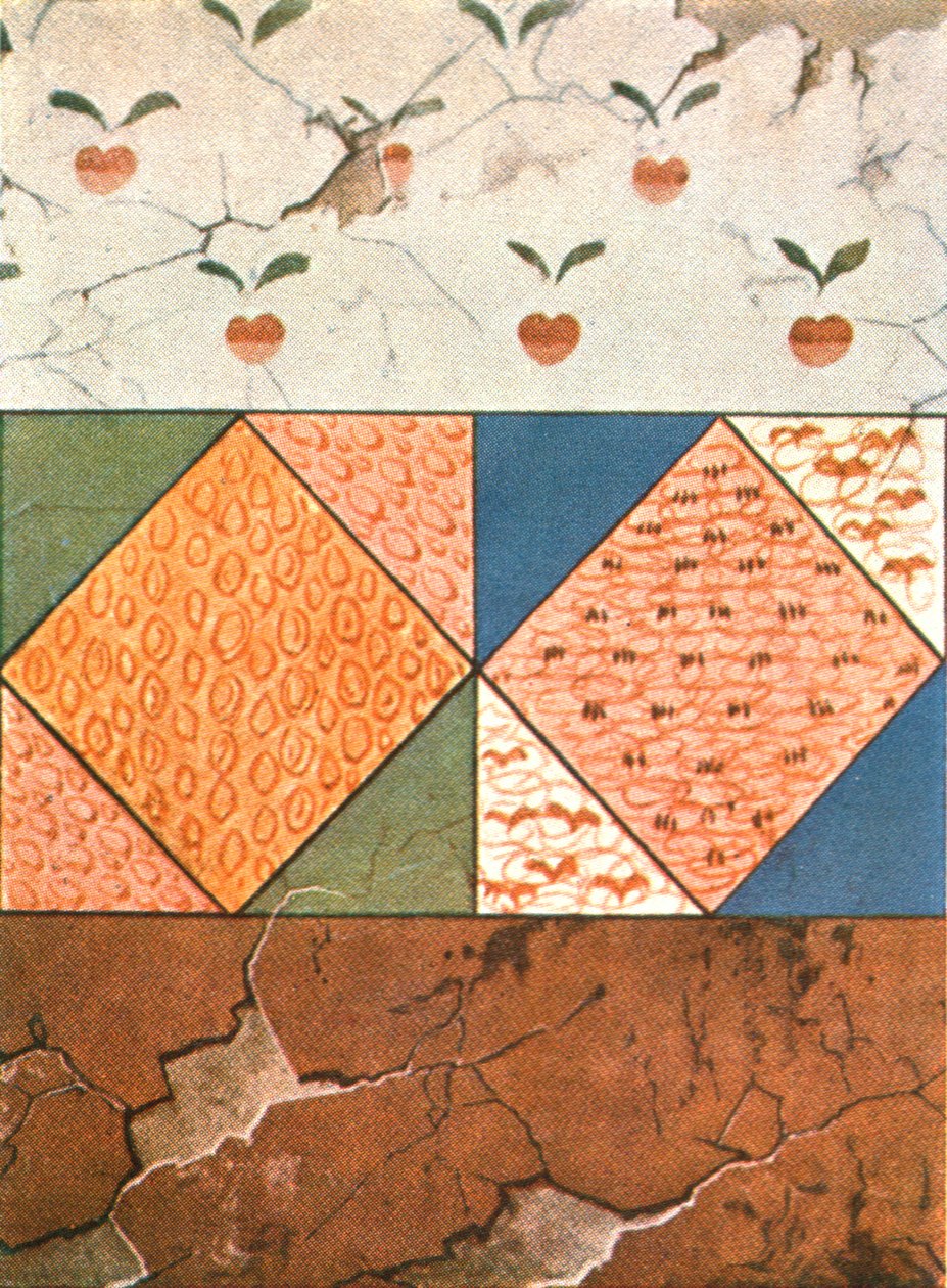 Painted decoration in the Stasovsky Crypt, Cimmerian Bosporus, Kerch, 1928 by Unbekannt