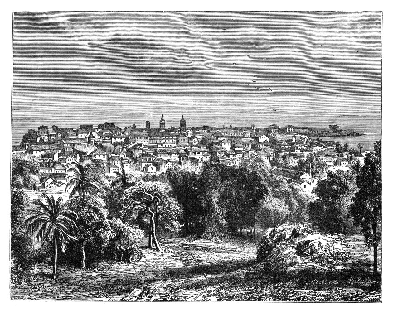 Panama City from Mount Ancon, c1890 by Unbekannt