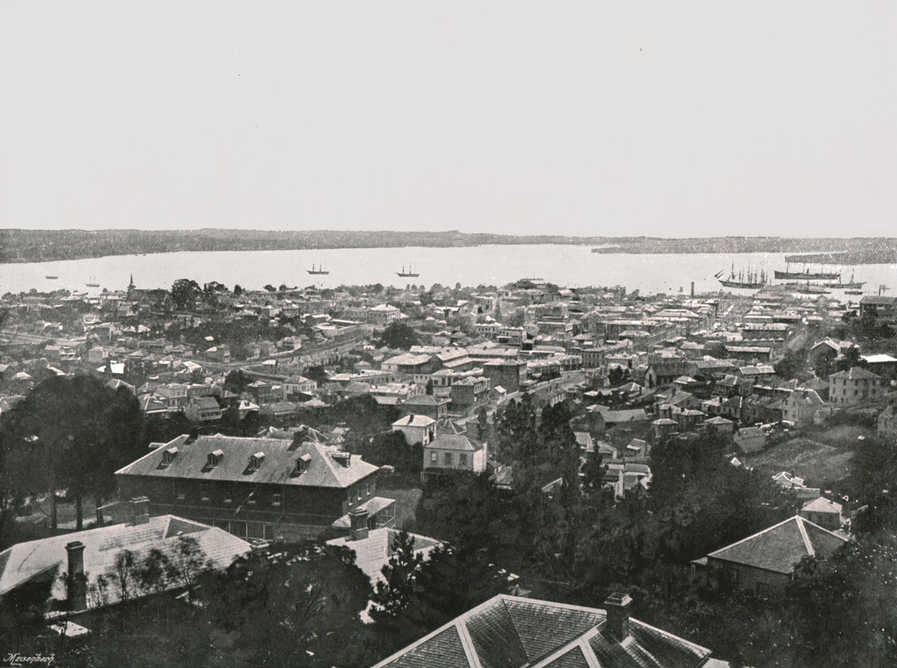 Panoramic view from the hills, Auckland, New Zealand, 1895 by Unbekannt