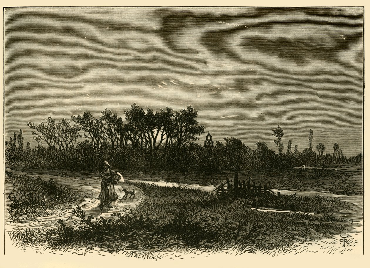 Peakirk, from the Cut by Unbekannt