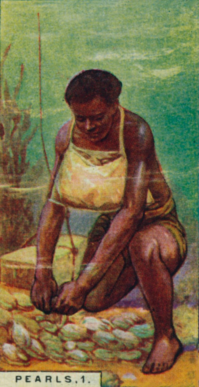 Pearls 1. Native Diver at Work, Ceylon by Unbekannt