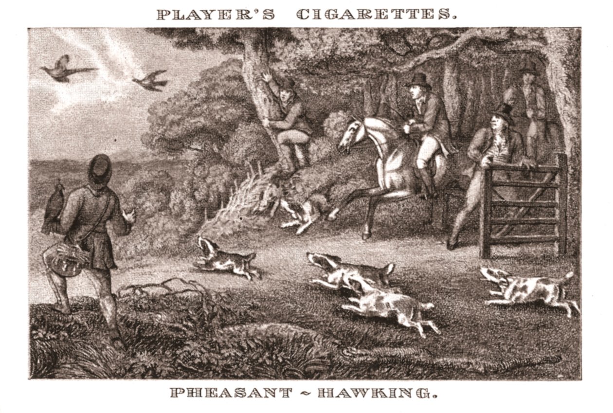 Pheasant-Hawking, 1924 by Unbekannt