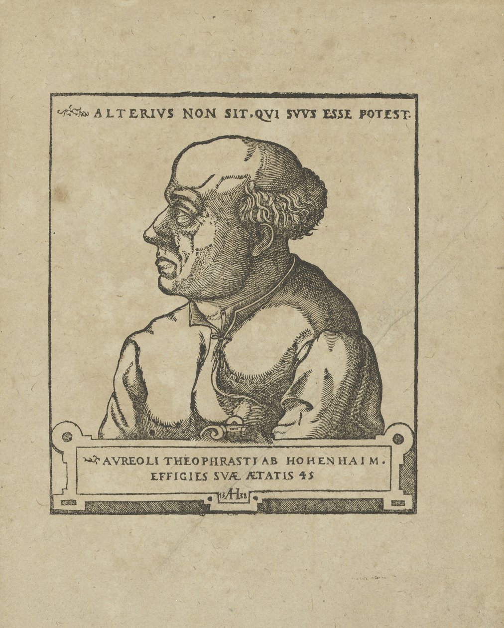 Philippus Theophrastus Aureolus Bombastus von Hohenheim Paracelsus by Unbekannt