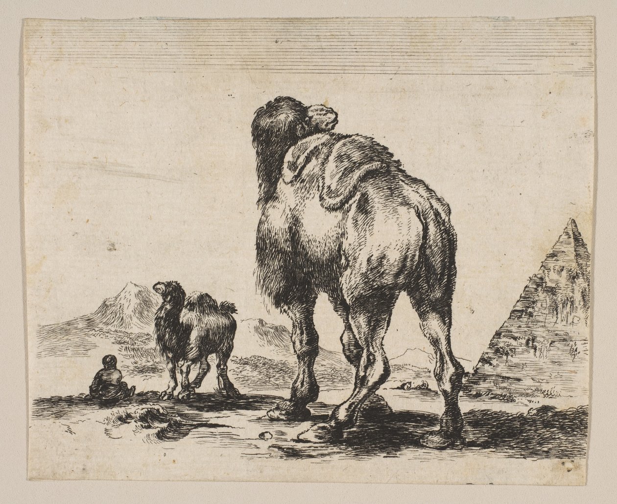 Camel Viewed from Behind with Pyramid at Right, from Various Animals by Unbekannt