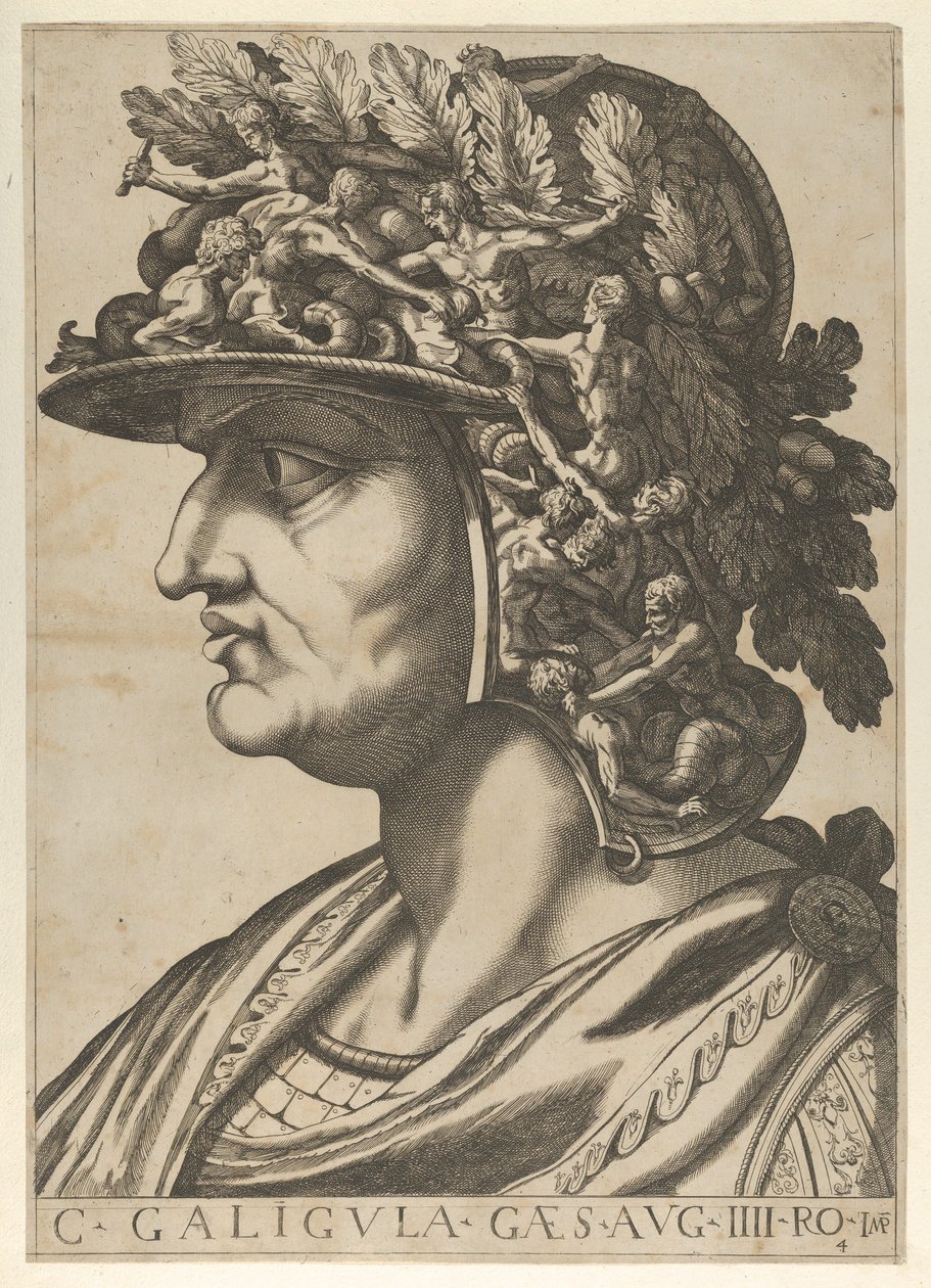 Plate 4: Caius in profile facing left, from 