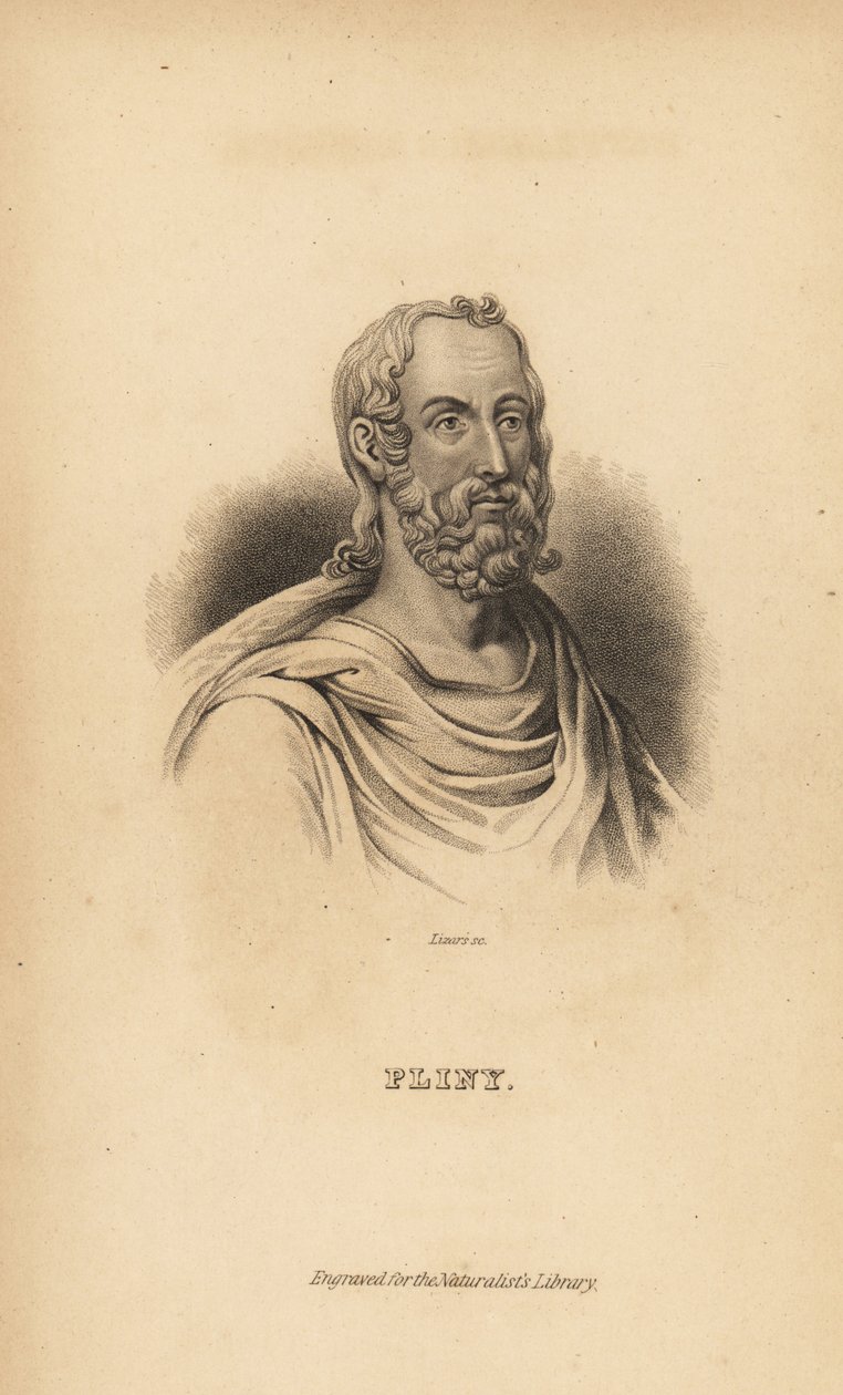 Pliny the Elder, Gaius Plinius Secundus, Roman author, naturalist and natural philosopher, AD23-79 by Unbekannt