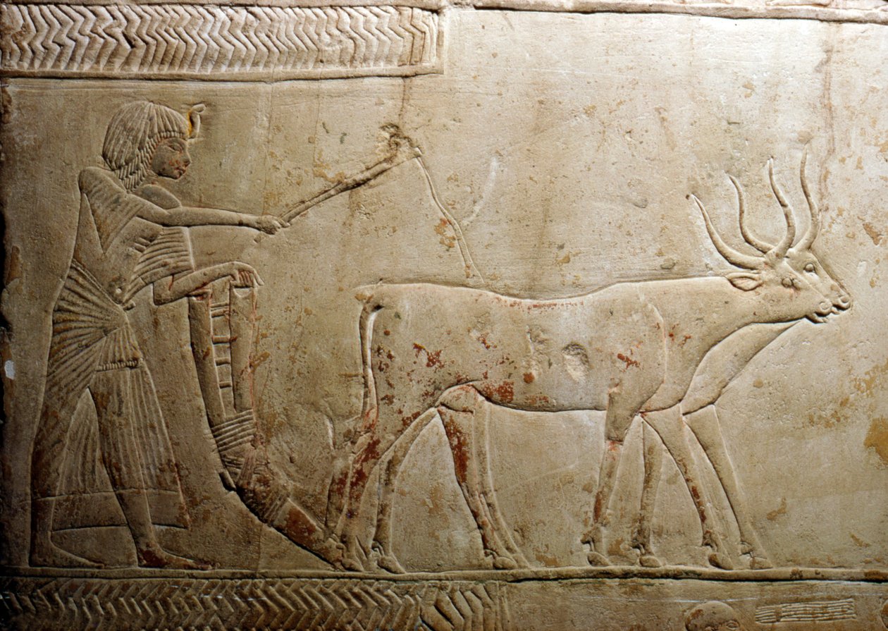 Ploughing from an Egyptian Stele, 18th Dynasty by Unbekannt