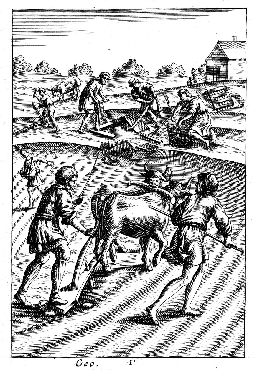 Ploughing with oxen, sowing seed broadcast and harrowing by Unbekannt
