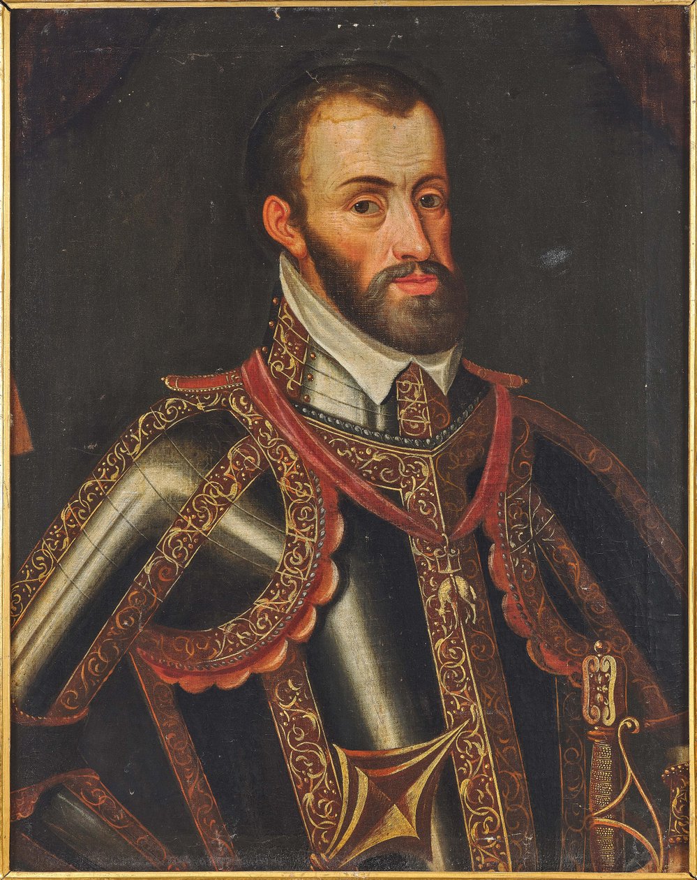 Portrait of Ferdinand II, Archduke of Austria by Unbekannt