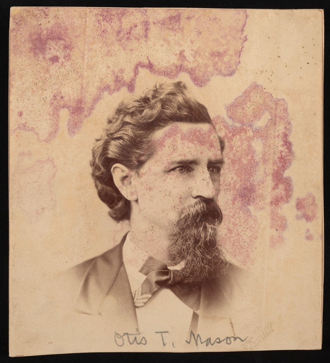Portrait of Otis Tufton Mason, 1838-1908, Before 1900 by Unbekannt