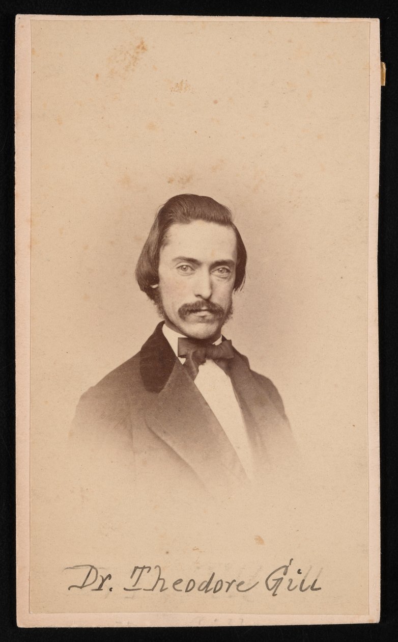 Portrait of Theodore Nicholas Gill by Unbekannt