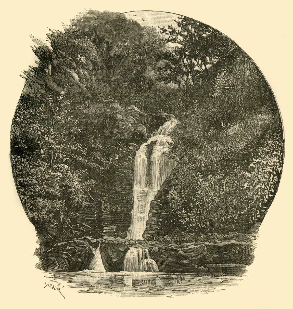 Pyrddin Falls, Vale of Neath, 1898 by Unbekannt