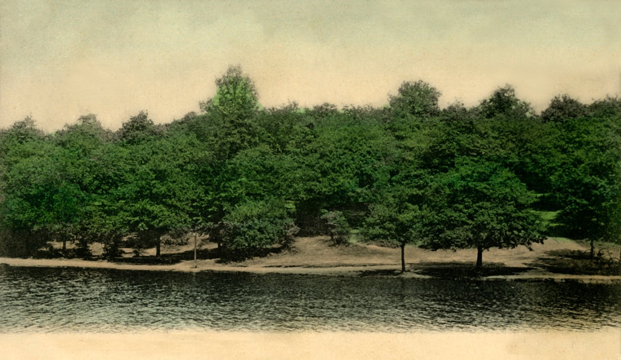 Queensmere, Wimbledon Common, London, 1903 by Unbekannt
