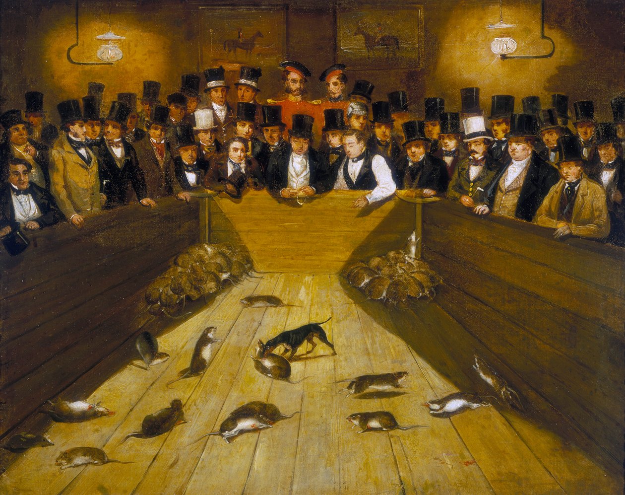 Rat-Catching at the Blue Anchor Tavern, Bunhill Row, Finsbury by Unbekannt