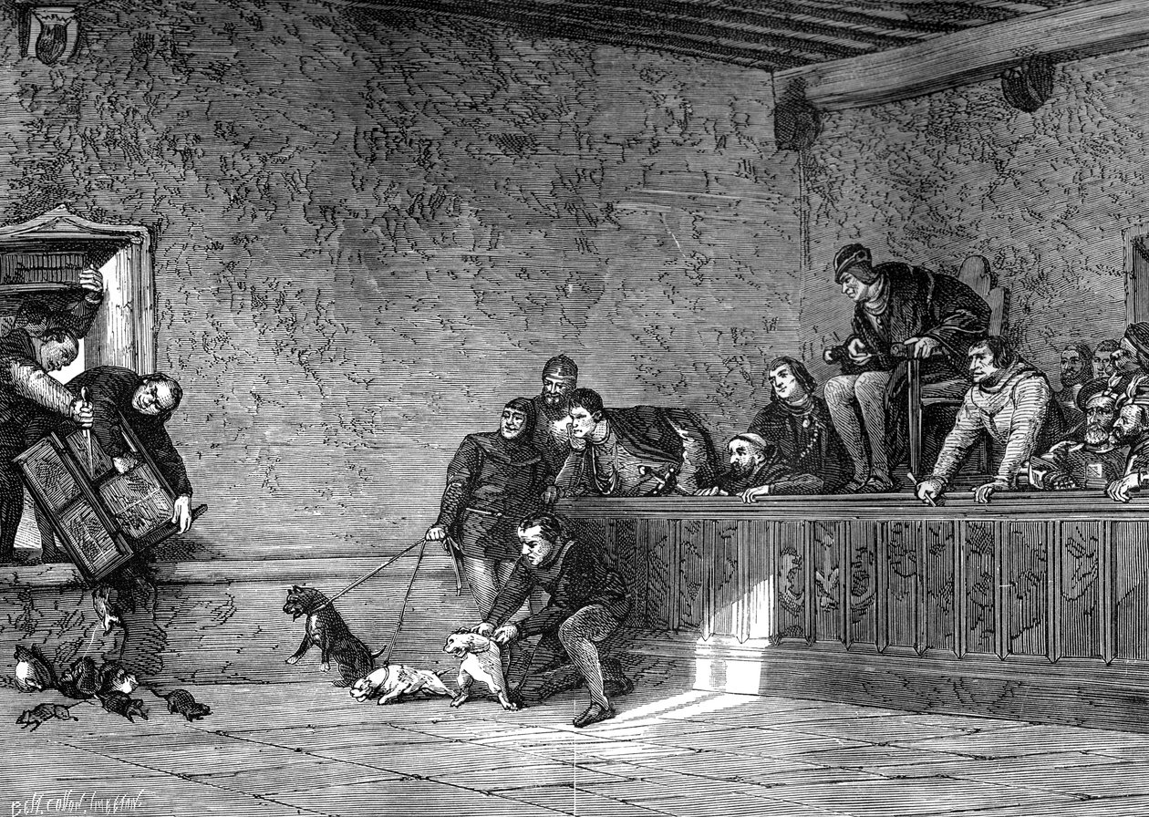 Rat Fighting, Recreation of Louis XI of France by Unbekannt