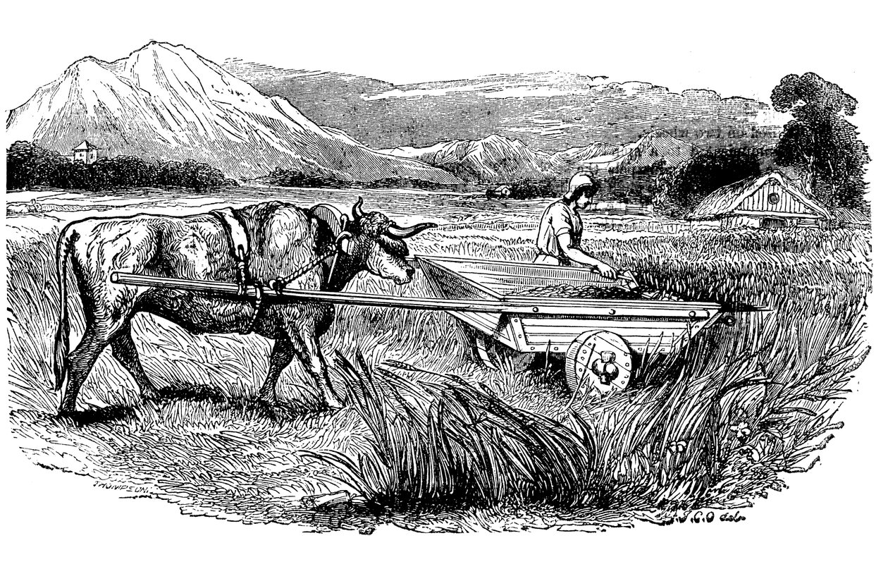 Reconstruction of Roman reaping cart, as described by Pliny by Unbekannt