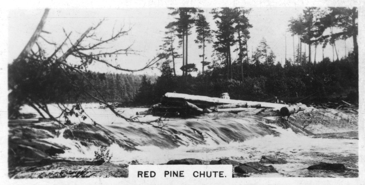 Red Pine Chute, Canada, c1920s by Unbekannt