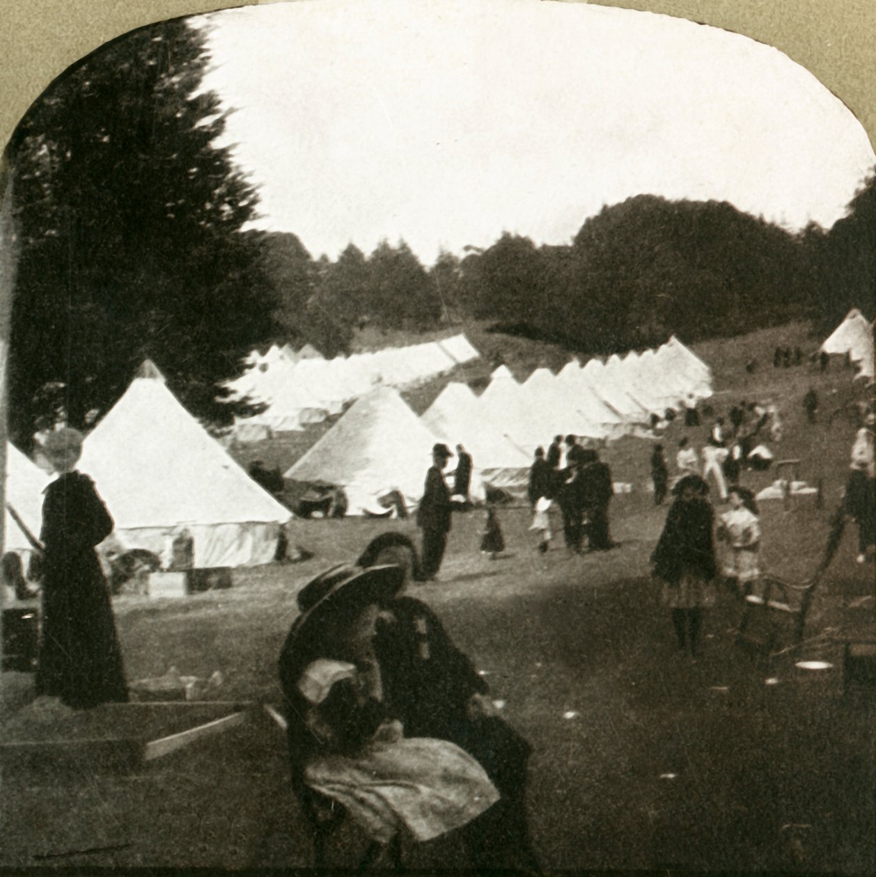Refugees camp at ball grounds in Golden Gate Park, 1906 by Unbekannt