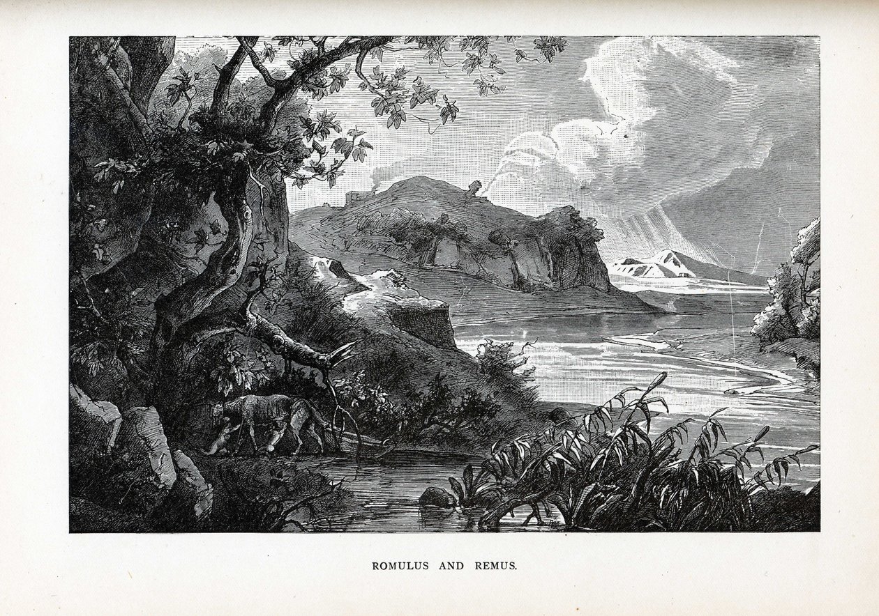 Romulus and Remus, 1882 by Unbekannt